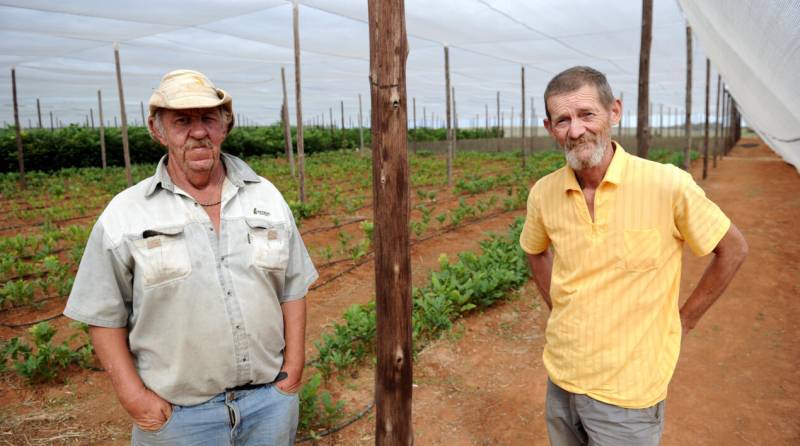 White S. Africans clamour for US resettlement after Trump order