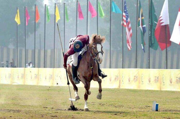 Horse and Cattle Show enthrals crowds with thrilling competitions and international participation