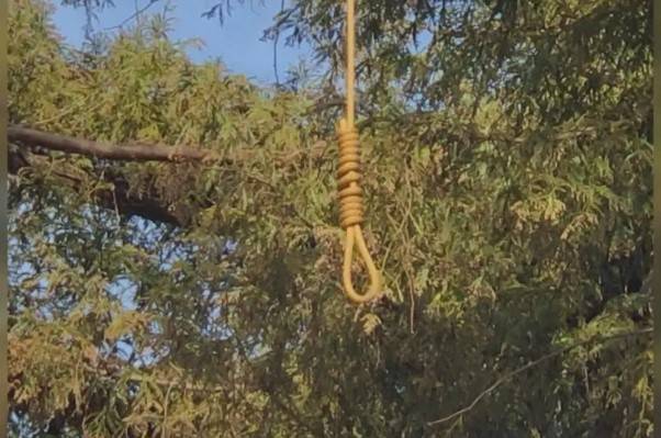 Body of woman found hanging from tree in Lahore garden