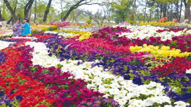 Mohsin Naqvi announces 3-day spring festival in Islamabad