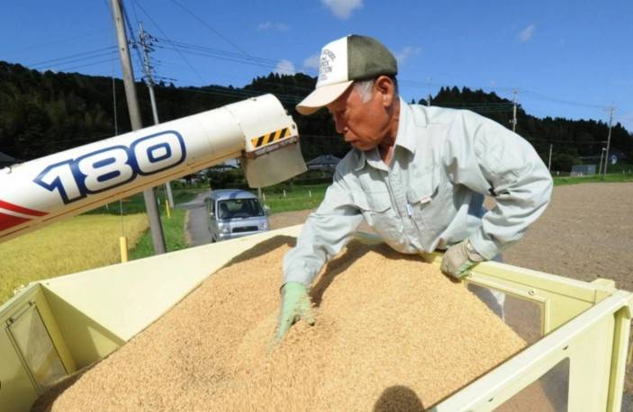 Japan to release emergency rice reserves as prices soar