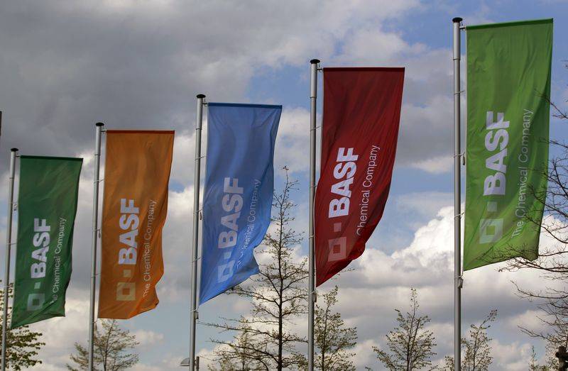 Germany's BASF sells Brazilian paint business