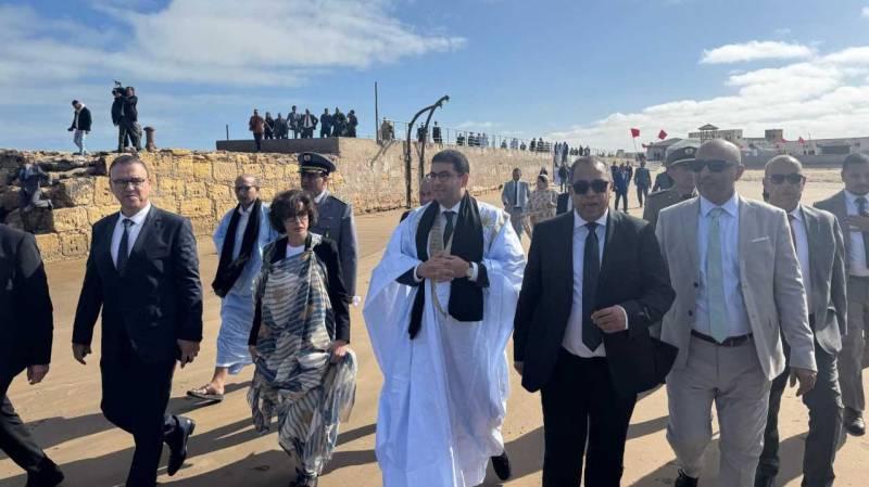 In first, French minister visits Western Sahara claimed by Morocco