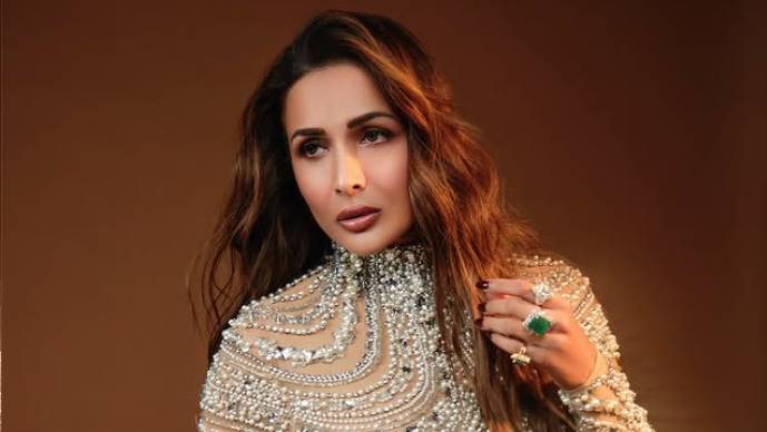 Malaika Arora's bejeweled mini dress grabs attention 