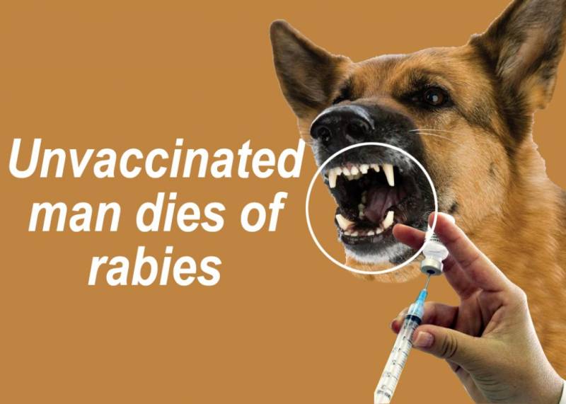 Man dies in Muridke due to lack of dog bite vaccine