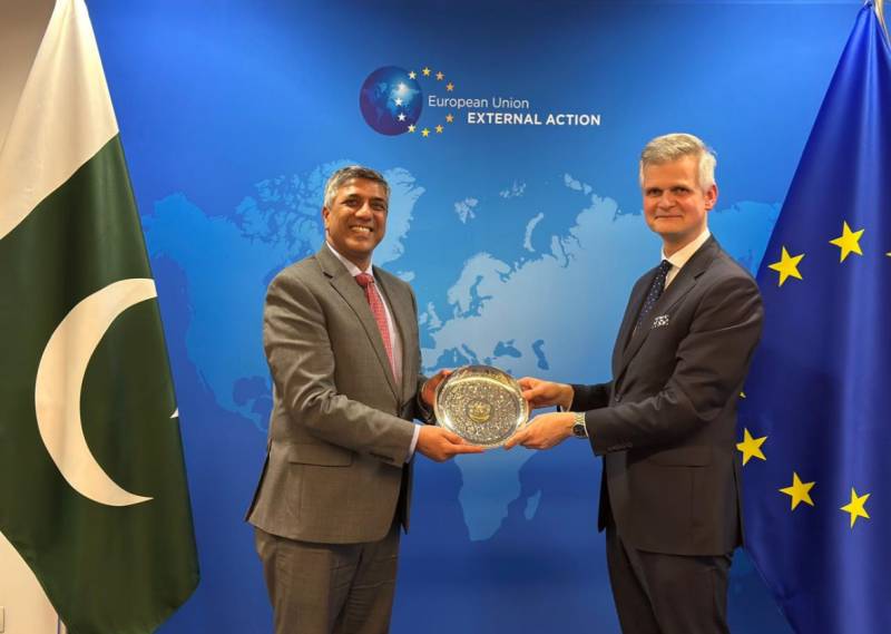 Pakistan, EU discuss cooperation in counter-terrorism: FO 