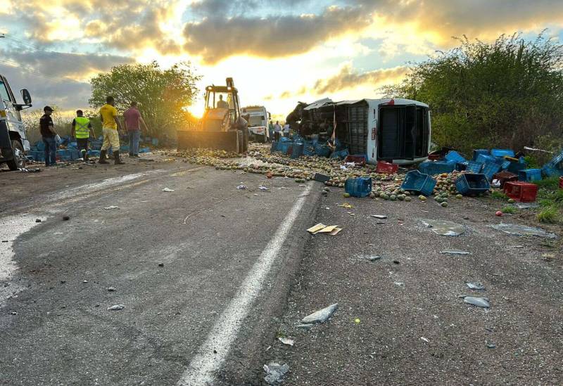 Twelve university students dead in Brazil bus crash: officials