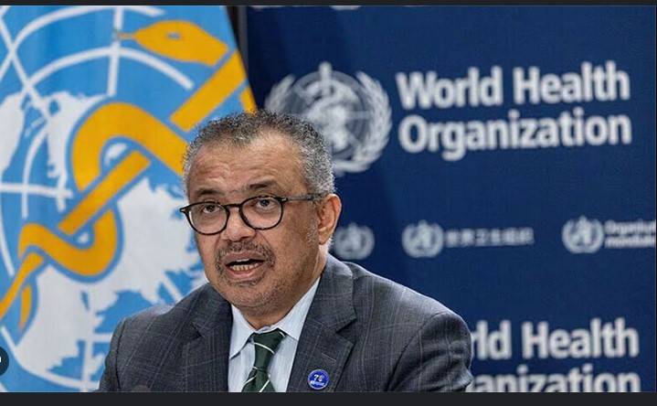 'History will not forgive' failure to seal pandemic deal: WHO chief