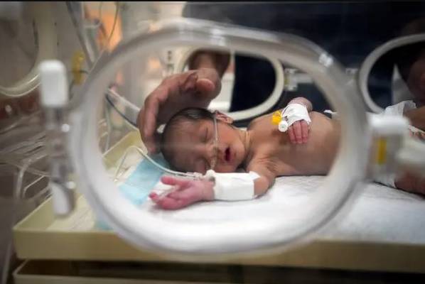 Six newborns die as cold snap grips Gaza: civil defence