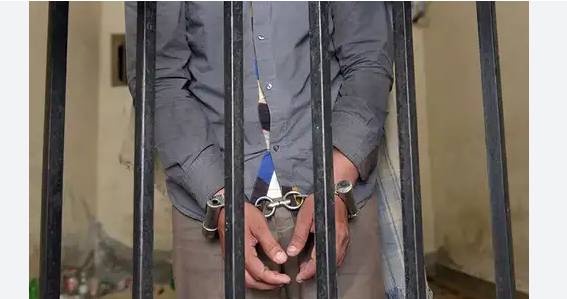 7 Pakistanis freed from Saudi jails reach home