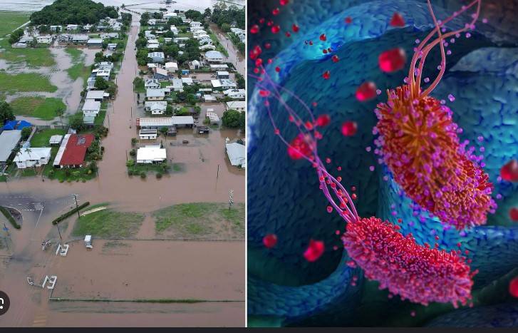 Soil bacteria outbreak kills 14 in Australian flood-hit state