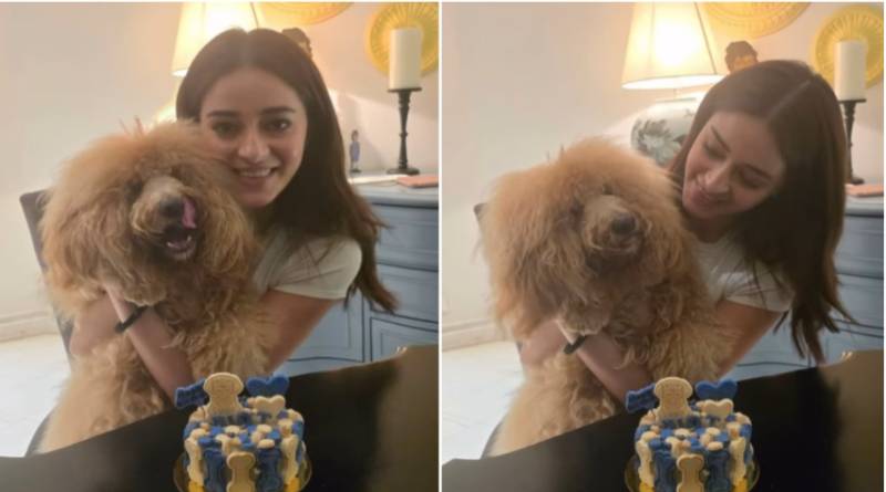 Ananya Panday celebrates first year of pet Riot with special bone cake