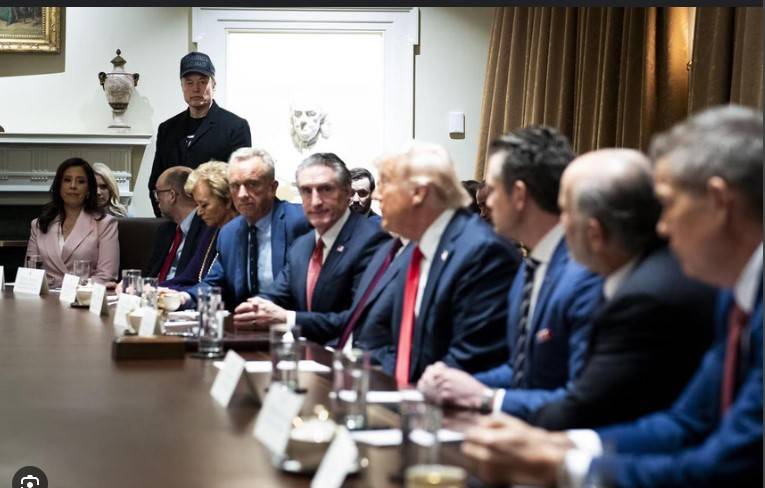 Musk stars at Trump's first cabinet meeting