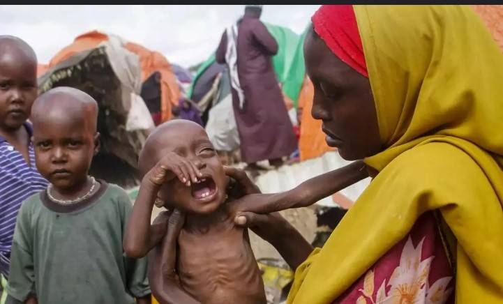 In Somalia, 4.4 million people risk hunger by June
