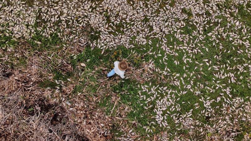UN nature talks in 'end game' to break funding deadlock