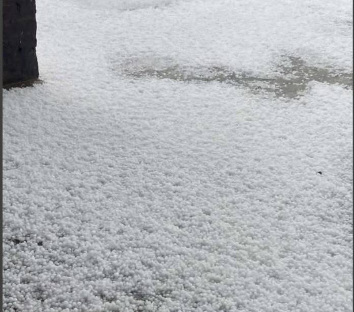 Heavy rain, hailstorms hit wheat crops in Hafizabad, Narag Mandi and Narowal 