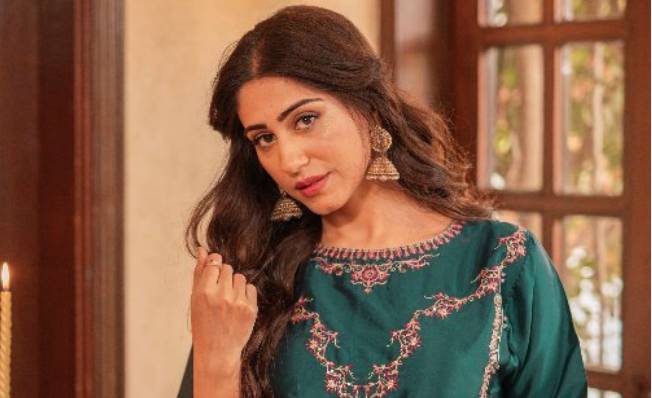 ‘They are similar to Jindo and Ehd e Wafa,’ Naeema Butt spills beans about upcoming projects 