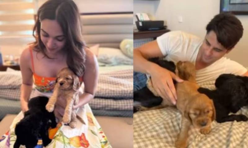 Kiara Advani glows as mom-to-be plays with puppies