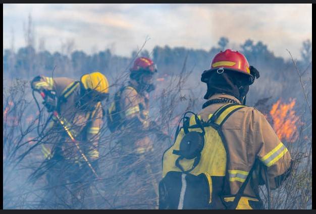 Japan deploys nearly 1,700 firefighters to tackle forest blaze