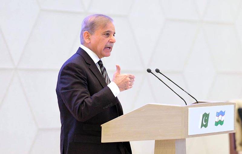 PM Shehbaz urges cabinet members to contributing towards economic stability, prosperity