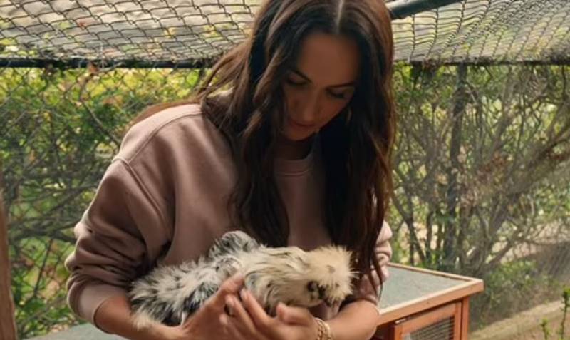 Reviewers rap Meghan Markle's new TV lifestyle series