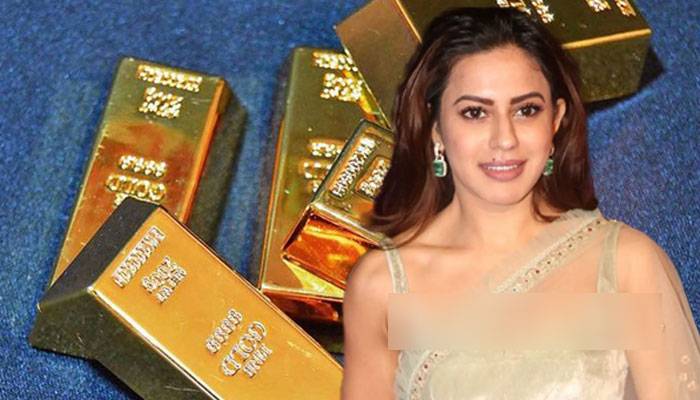 Indian actress arrested in Bengaluru for smuggling 14.8kg gold