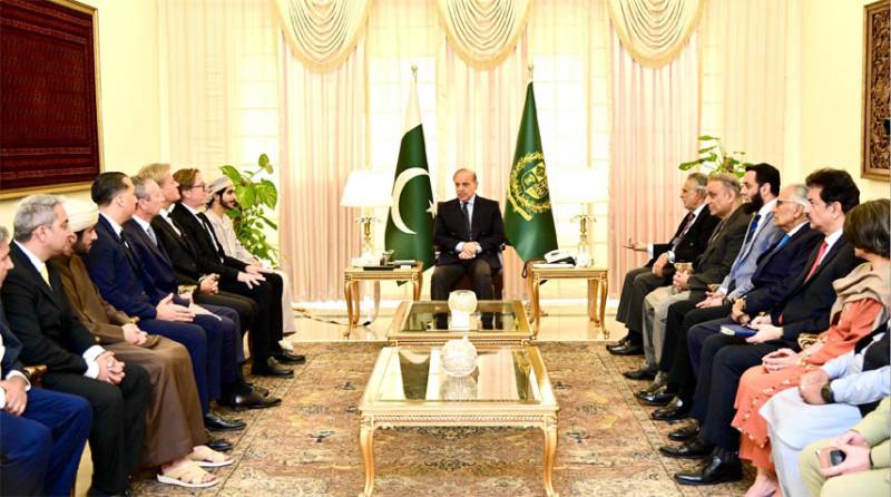 PM Shehbaz meets UAE business delegation, highlights business prospects 