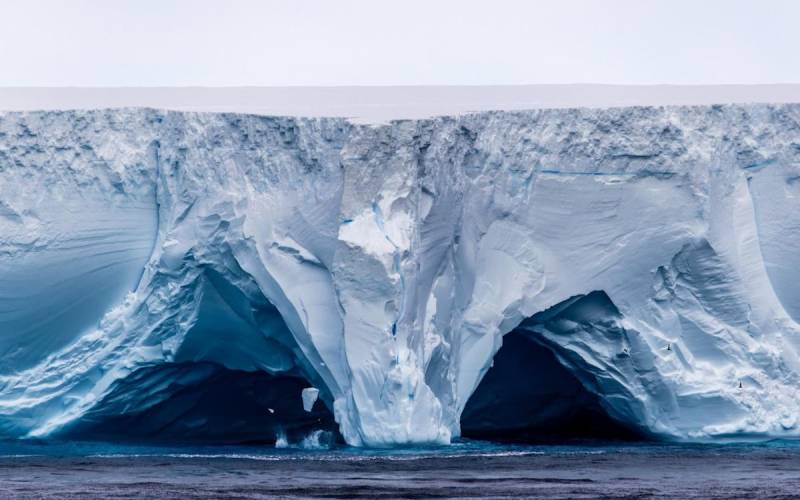 World’s largest iceberg grounds near South Georgia Island, sparing wildlife from disaster