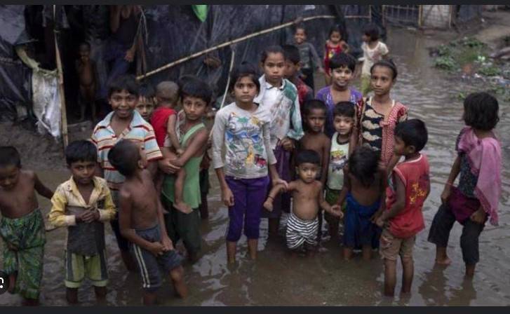Rohingya refugee food aid to be halved from next month: UN