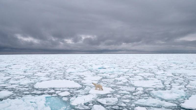 World's sea ice cover hits record low in February