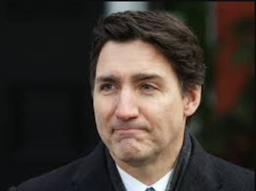 Canada's Trudeau: Liberal star who dazzled then fizzled