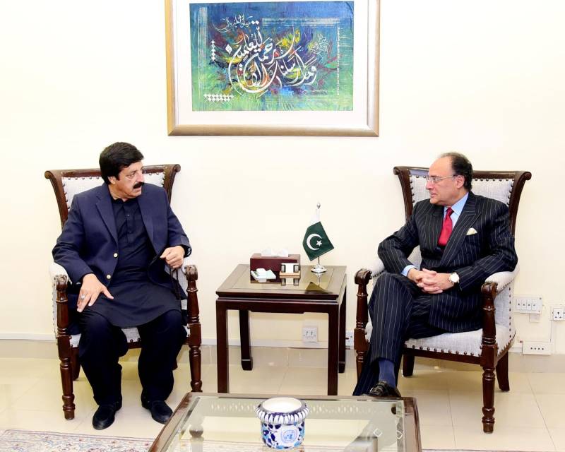 FinMin Aurangzeb, Punjab Governor Saleem discuss economic growth