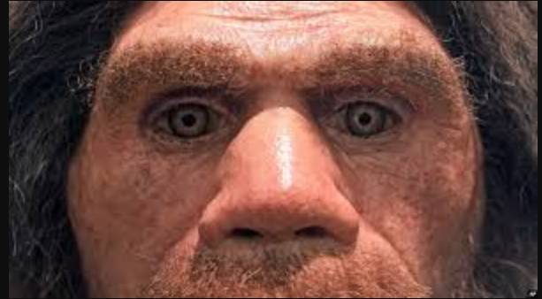 Meet 'Pink', the new face of human evolution in Europe