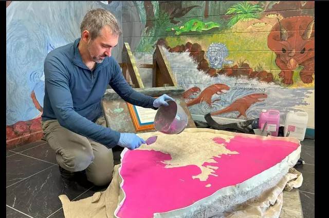 Trove of dinosaur footprints found at Australian school