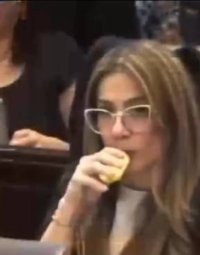 Lawmaker apologises after being caught on camera vaping in parliament
