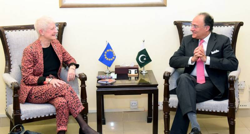 Finance minister, EU envoy mull ways to boost business ties
