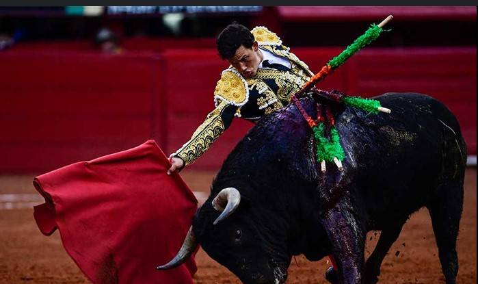 Mexico City considers ban on killing bulls at fights