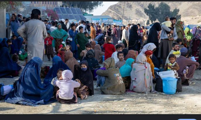 Forcibly displaced to surge by 6.7 mn in 2025-2026: aid group