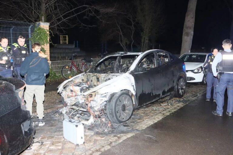 Teslas targeted in Berlin arson attacks: police