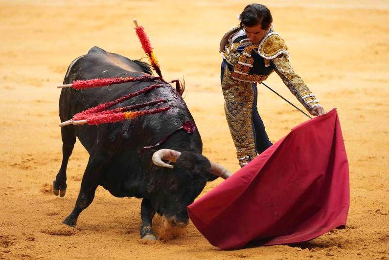 Mexico City, home to world's biggest bullring, bans killing bulls