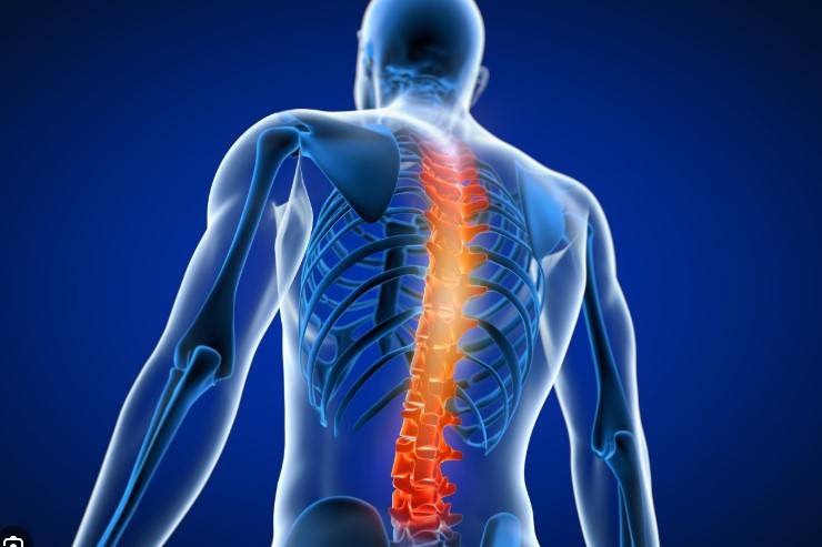 Stem cell treatment helped improve spinal cord injuries