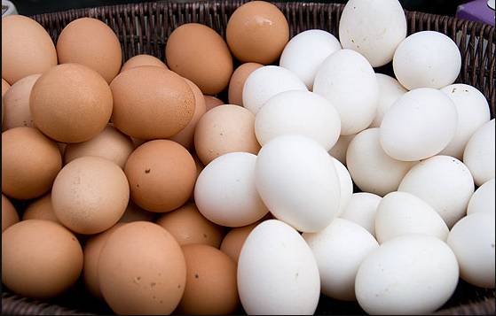 United States imports eggs from Korea, Turkey to help ease prices