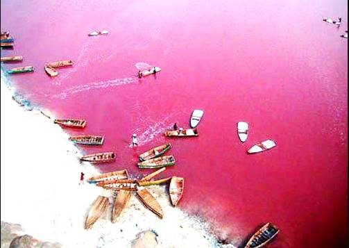 Back in the pink: Senegal salt lake gets its colour back