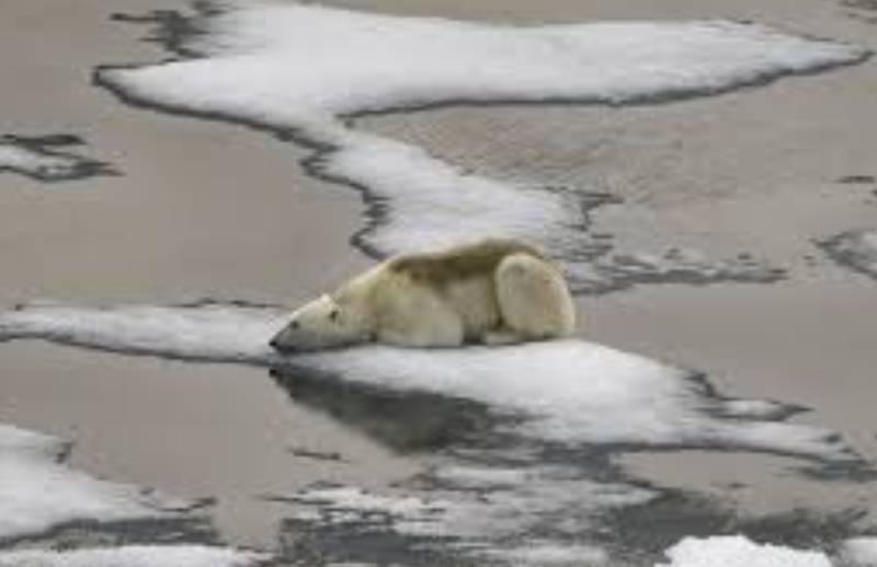 Arctic sea ice hits lowest peak in satellite record: US agency