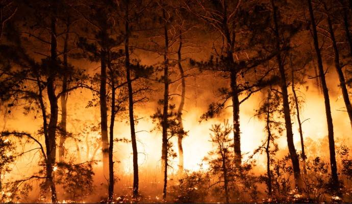 South Korea wildfires 'largest on record'