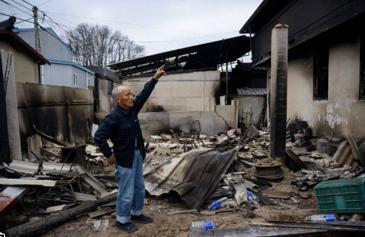 Rain gives some respite to South Korea firefighters as death toll rises