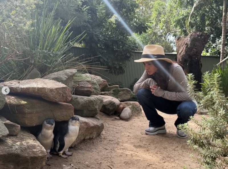 Samantha Ruth Prabhu shares glimpse of Sydney wildlife park trip 