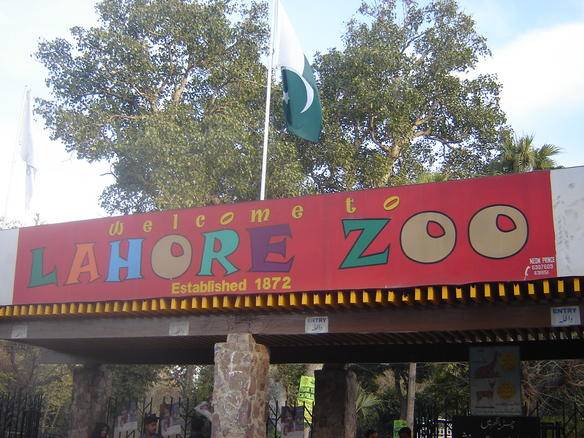 Lahore Zoo visitors on Eid to get free entry ticket to Qalandars event