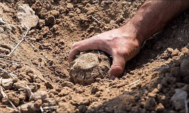 Finland to withdraw from anti-personnel mine ban treaty