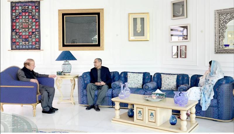 Interior Minister Naqvi calls on Nawaz Sharif and CM Maryam 